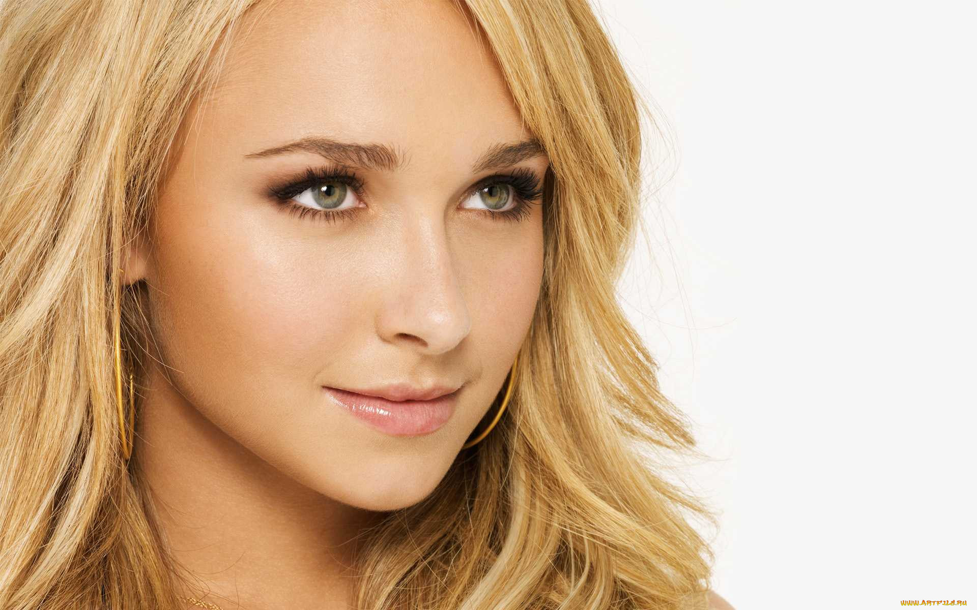 , hayden panettiere, , , 